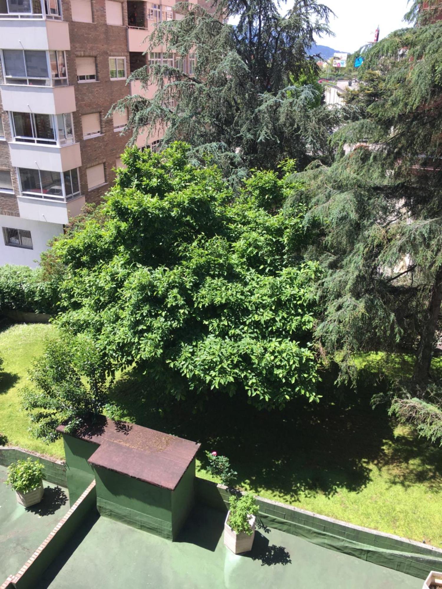 Gaivota Amplio Y Luminoso Con Plaza De Garaje Leilighet Vigo Eksteriør bilde